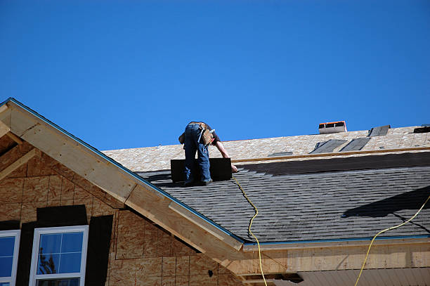 Best Storm Damage Roof Repair  in St Clair Shores, MI