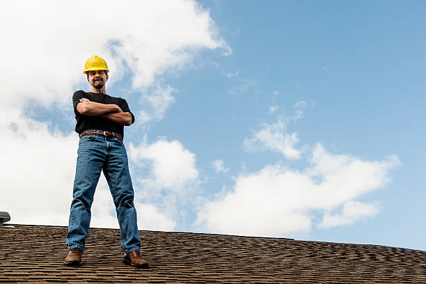 Best Roof Gutter Cleaning  in St Clair Shores, MI